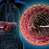 Hepatitis B more infectious than HIV – Expert