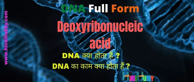 DNA Full Form in Hindi| DNA Full Form DNA Full Form in Hindi| DNA Full Form