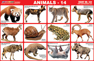 Chart contains images of different Animals