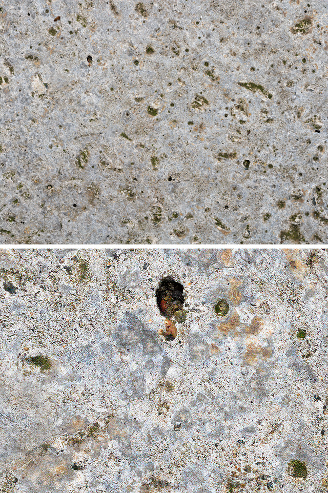 Stone_moss_growth_texture