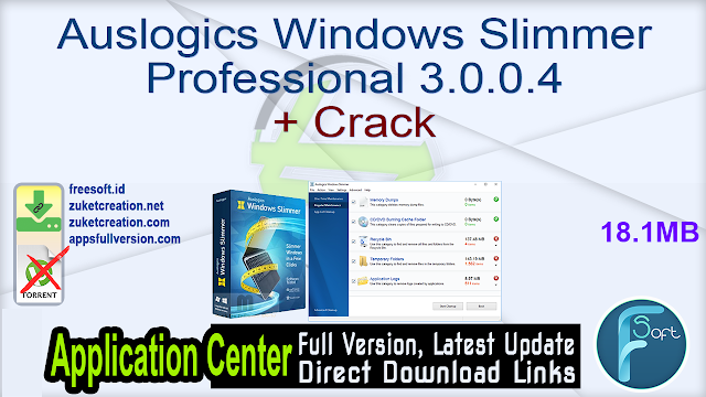 Auslogics Windows Slimmer Professional 3.0.0.4 + Crack