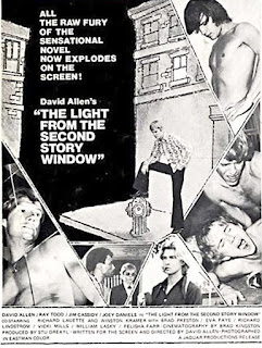 1973 movie poster for THE LIGHT FROM THE SECOND STORY WINDOW
