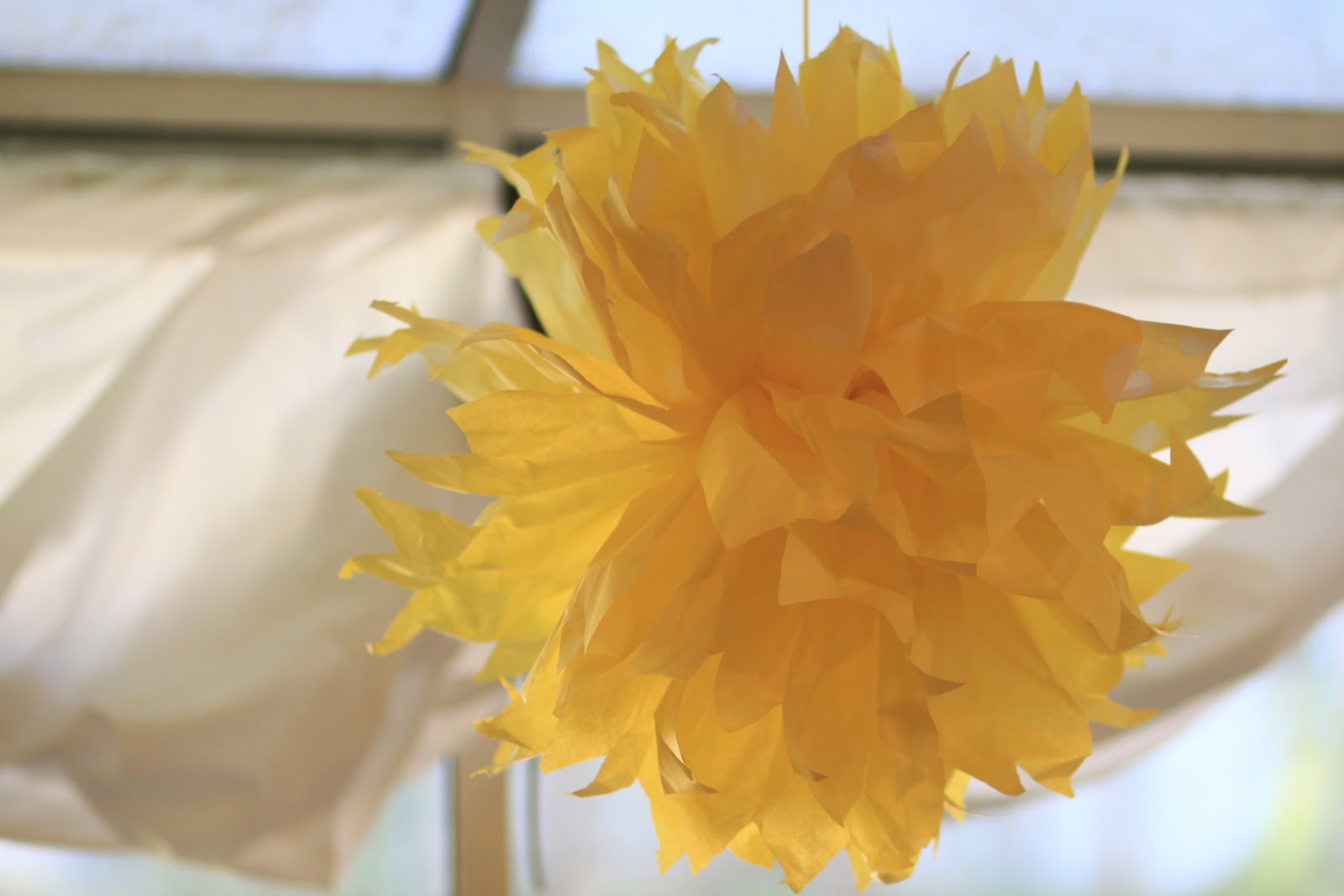 watch out for the woestmans Tissue Paper Pom Pom Tutorial DIY