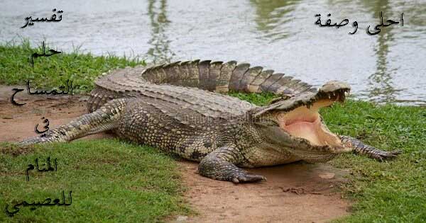 تفسير رؤية التمساح في المنام للعصيمي