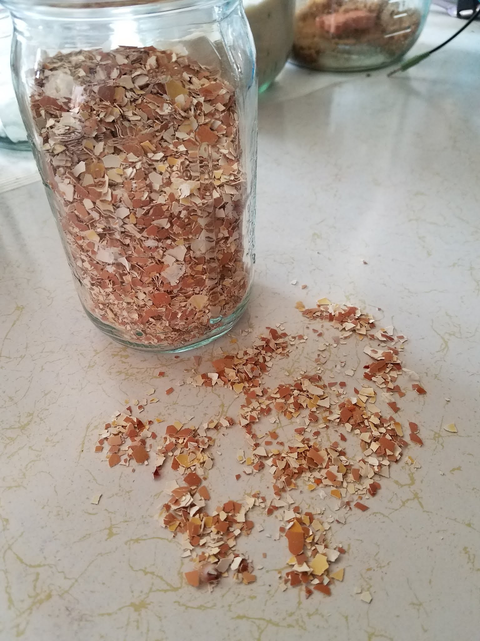 Make Your Own Grit for Backyard Chickens. Scratch Made Food! & DIY