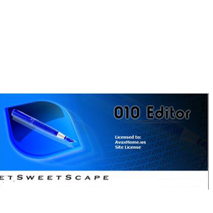 010 editor switch statement 010 editor switch statement