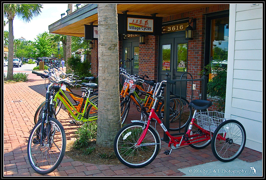 Ocala, Central Florida & Beyond Bicycles at Village Cycles