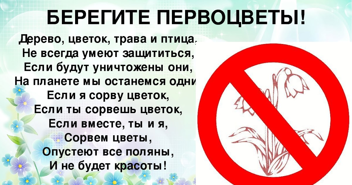Берегите цветы Берегите цветы