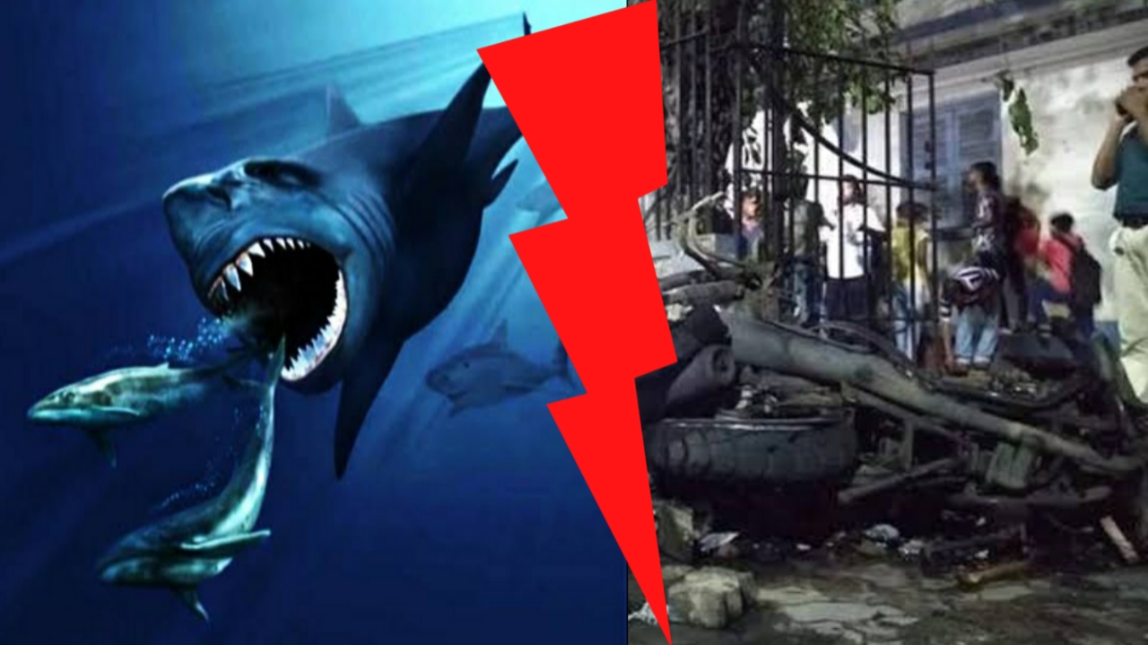 Matsya Nyaya is coming in India