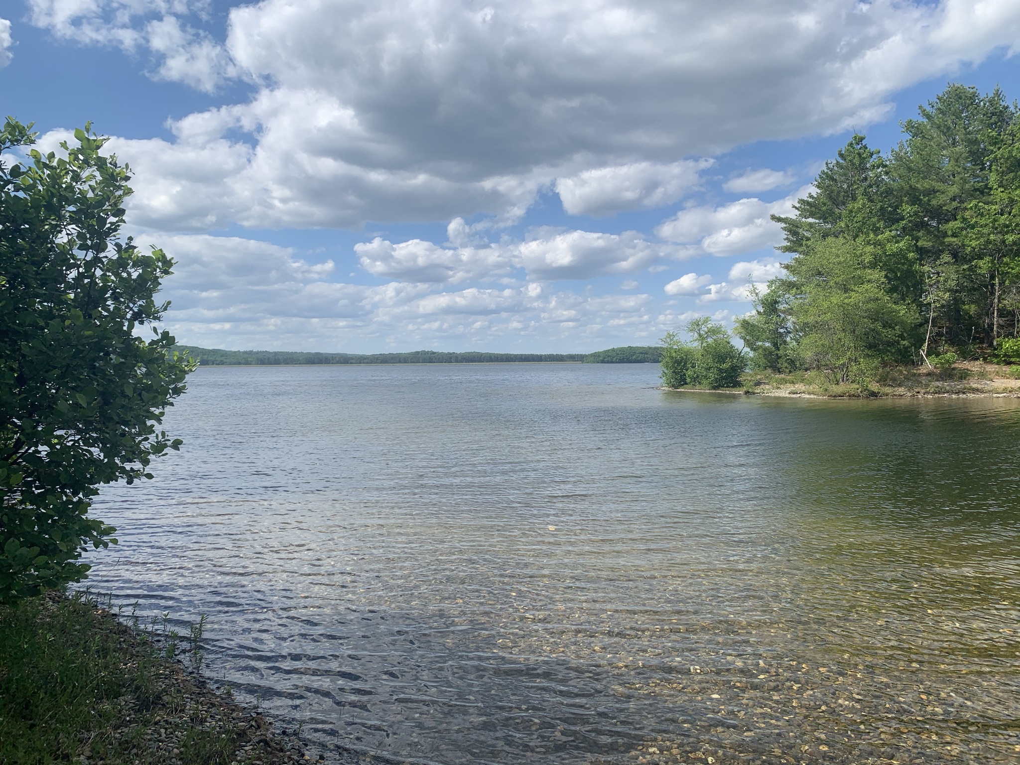 JCXC Wachusett Reservoir Trails Sawyer Bluff (Boylston, MA)
