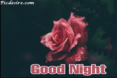 Top 101 Good Night Images || Best Good Night Images Top 101 Good Night Images || Best Good Night Images