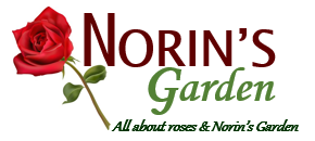 All About Norin's Garden