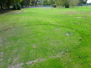 Bishops Meadow Putting Green in Hereford Bishops Meadow Putting Green in Hereford