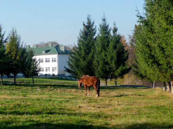 Село Стрілків Стрийського району