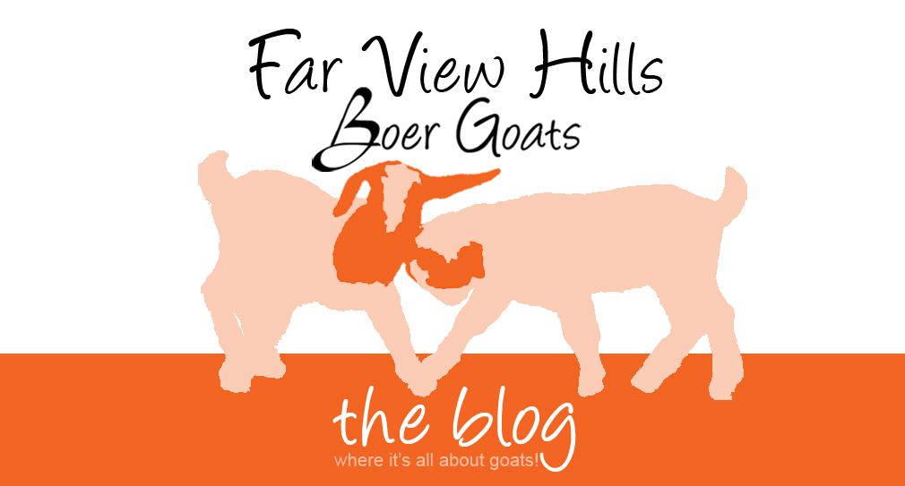 Far View Hills Boer Goats