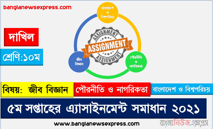 দাখিল ১০ম শ্রেণি৫ম সপ্তাহের এ্যাসাইনমেন্ট  জীব বিজ্ঞান, বাংলাদেশ ও বিশ্বপরিচয়, পৌরনীতি ও নাগরিকতা উত্তর