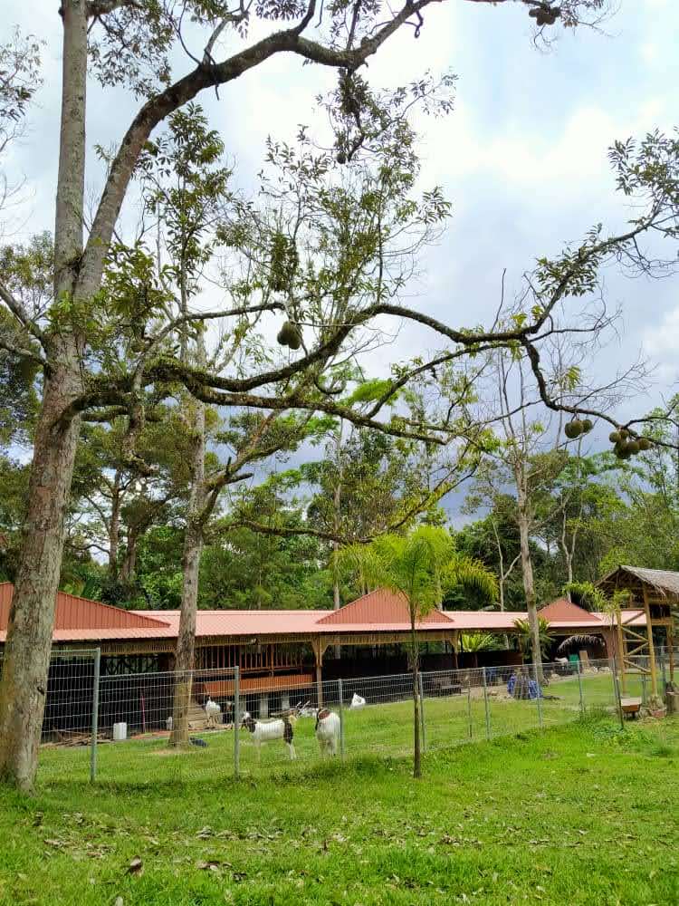 Sugeh Hill Exclusive Eco Resort Janda Baik