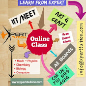 --- Learn from Expert---