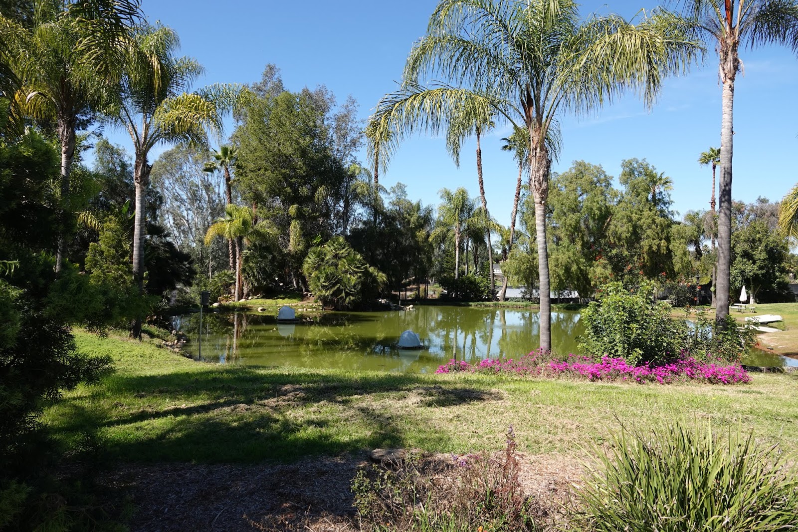 winter haven winter haven
