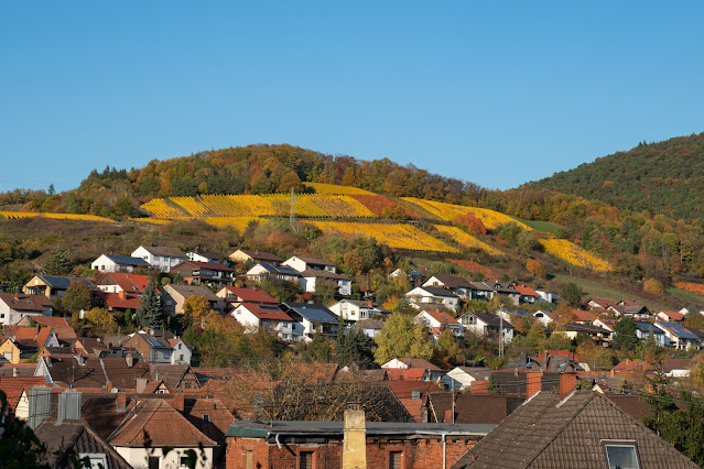 Pfälzer Keschdeweg | Etappe 2 Annweiler bis Albersweiler | Wandern Südliche Weinstraße | Wandern Wasgau 25