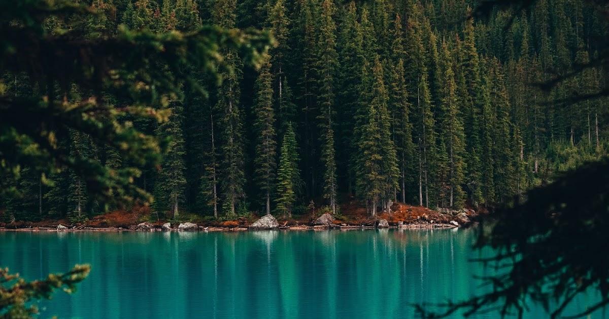 Free Wallpapers for iphone, PC and Laptop.