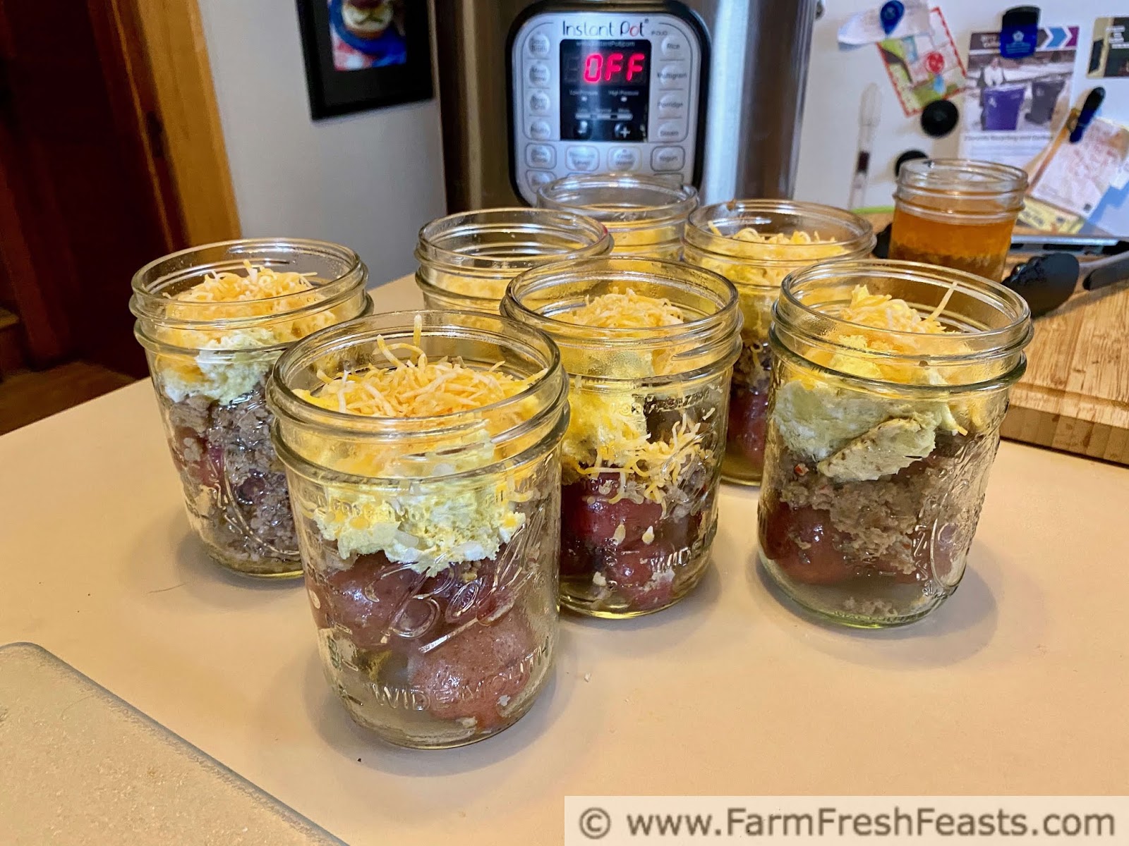 Low Carb Dinners with an Indoor Grill - Farm to Jar