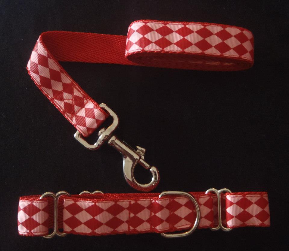 Nightrave greyhounds blog Buy designer martingale collars from our shop!