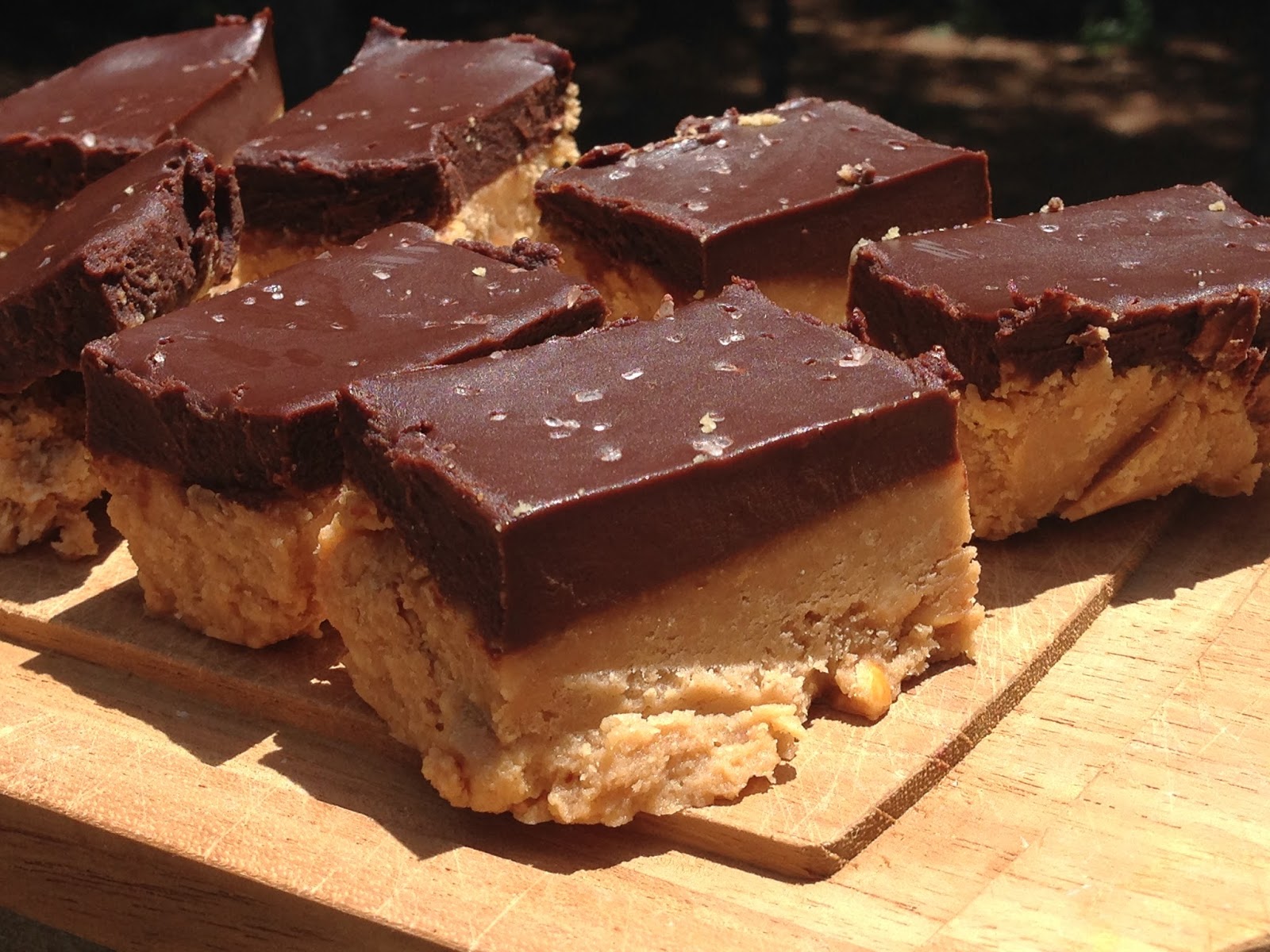 Stefanie's Gluten/Dairy Free Kitchen! Chocolate Peanut Butter Bars