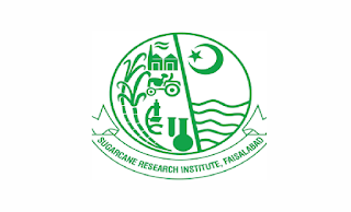 Vegetable Research Institute Jobs 2021 in Pakistan