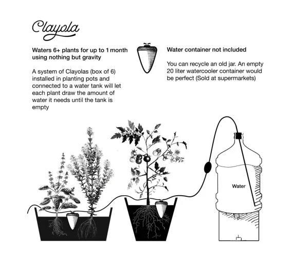 The Clayola self-watering system