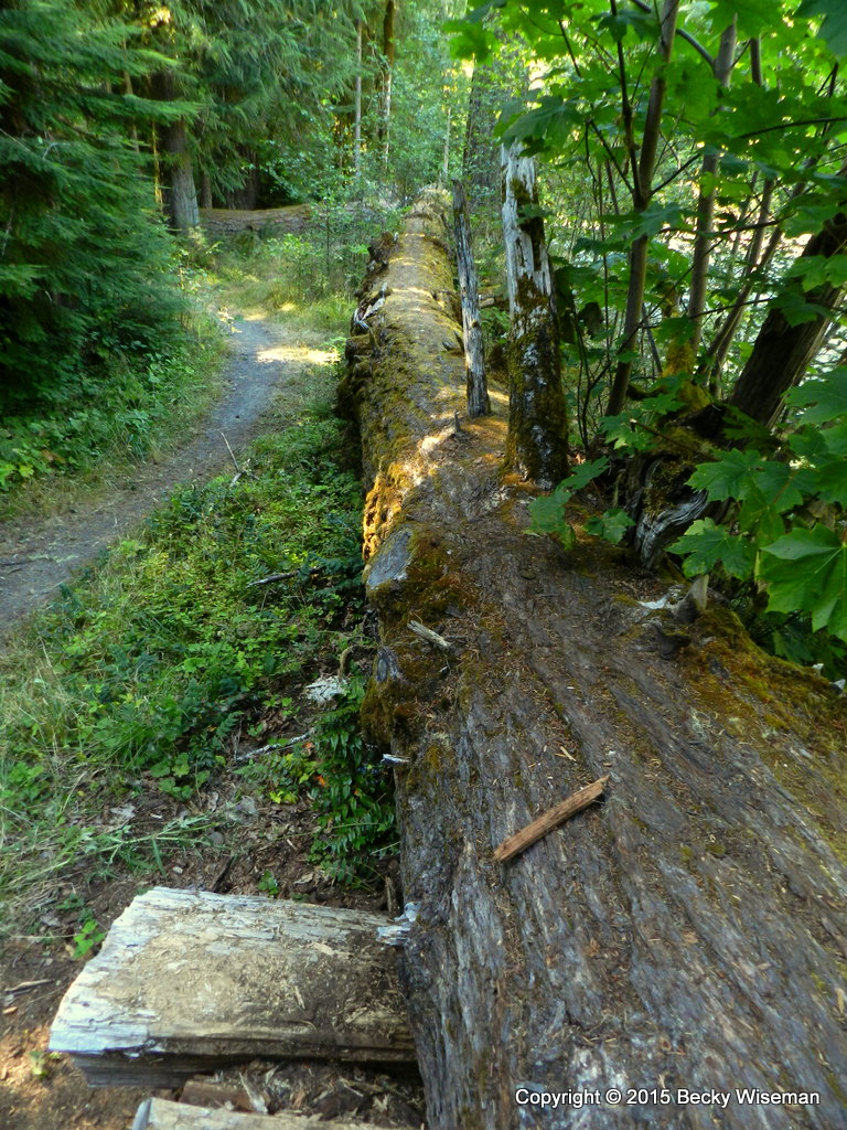 Iron Creek Campground Map