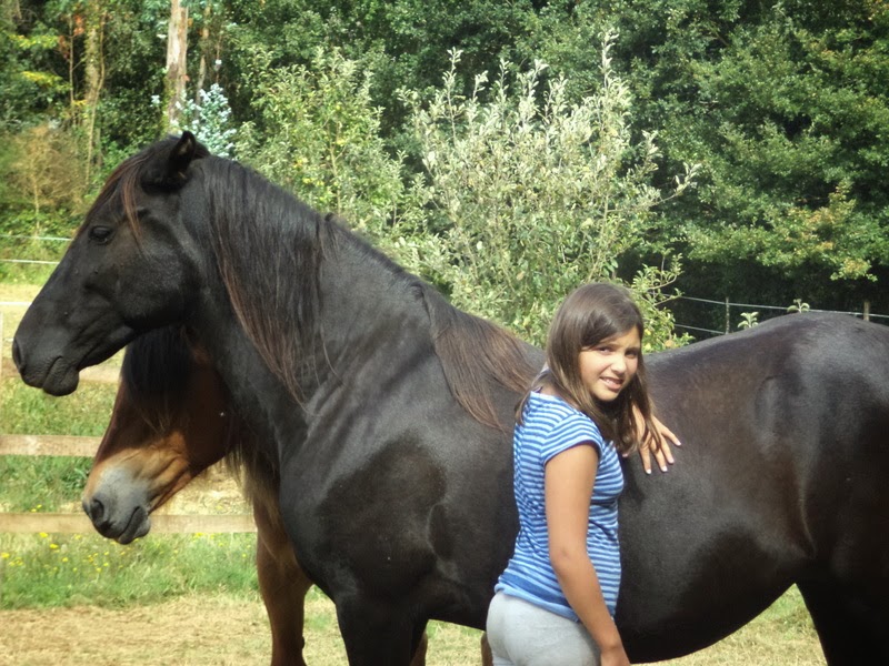 Yegua salvaje Paderne