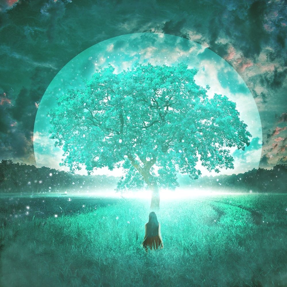 Minty – Arcadia – Single