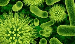 Inilah 10 Poin Penyebab Anda Tak Bisa Kentut, Hati-hati! Inilah 10 Poin Penyebab Anda Tak Bisa Kentut, Hati-hati!