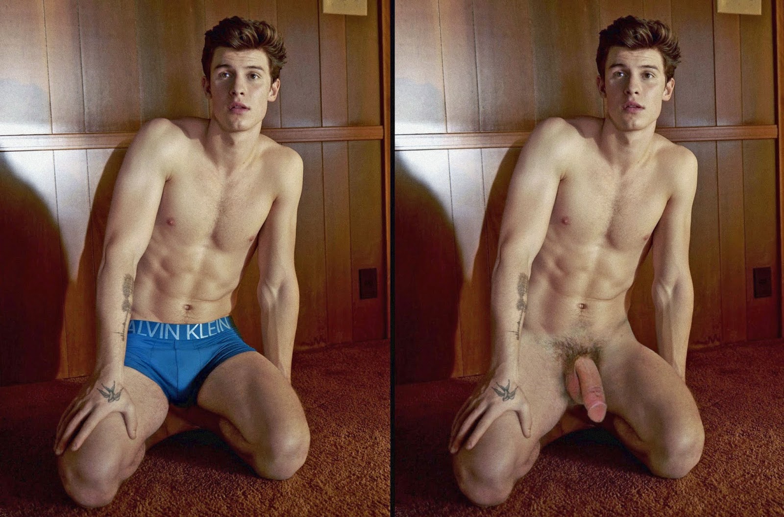Shawn Mendes Nude. 