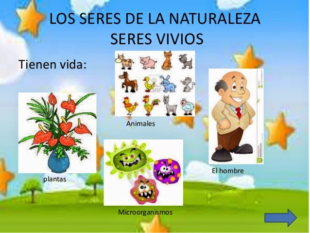 ¿Qué es un organismo vivo? ¿Qué es un organismo vivo?