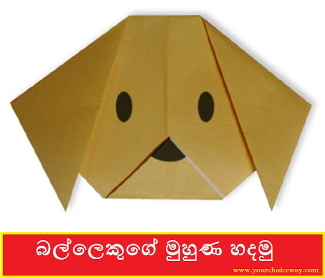 බල්ලෙකුගේ මුහුණ හදමු ( Balla - Dog(Face)) - Your Choice Way