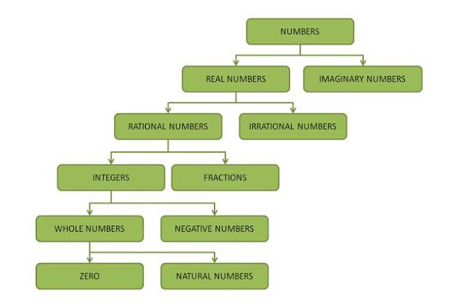 Flow Chart Of Number System