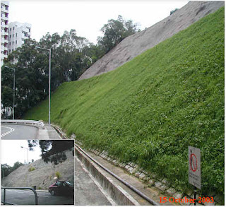 Dunia Teknik Sipil: Gebalan Rumput: Pengendali Erosi Sederhana