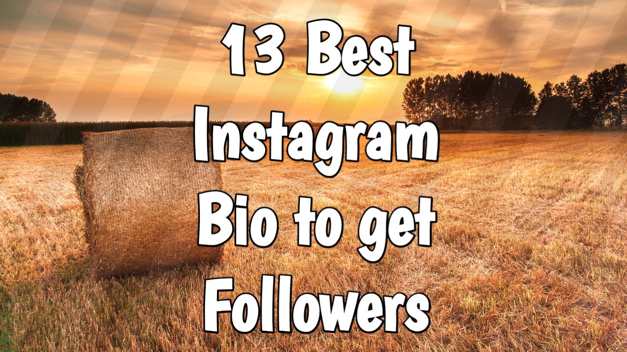Best Instagram Bios to Increase Followers Regularquotes Inspiring