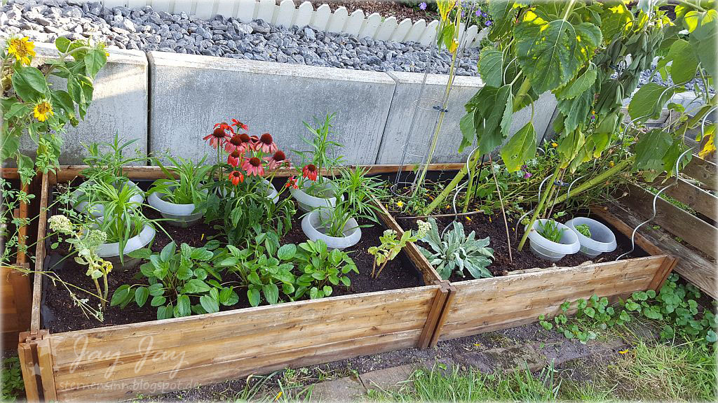 Sternensinn Garten Und Mehr August Garten 2019