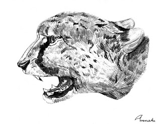 Cheetah print by Annake