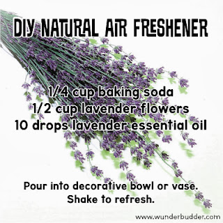 DIY Natural Air Freshener