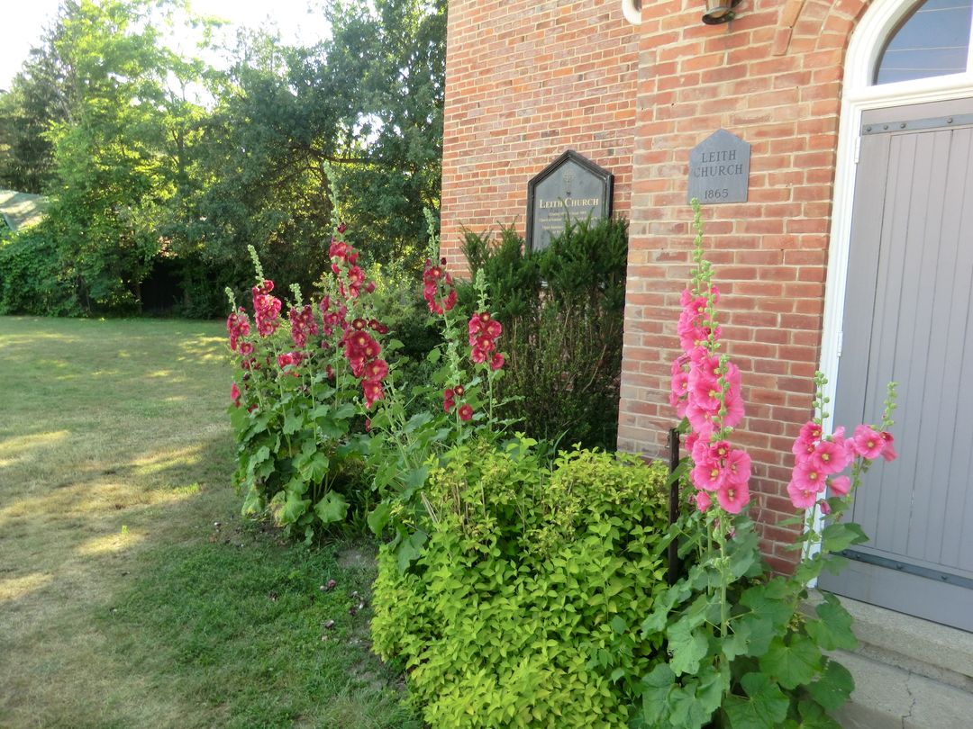 Mark Bellis Tom Thomson's Grave