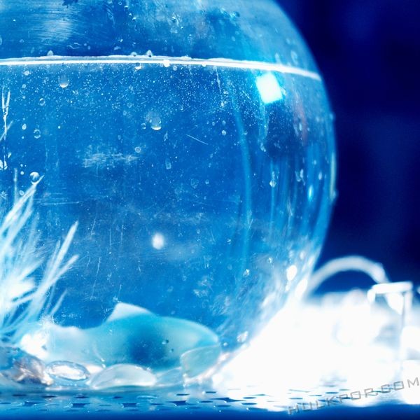 Loosen Door – Wavelength – Single