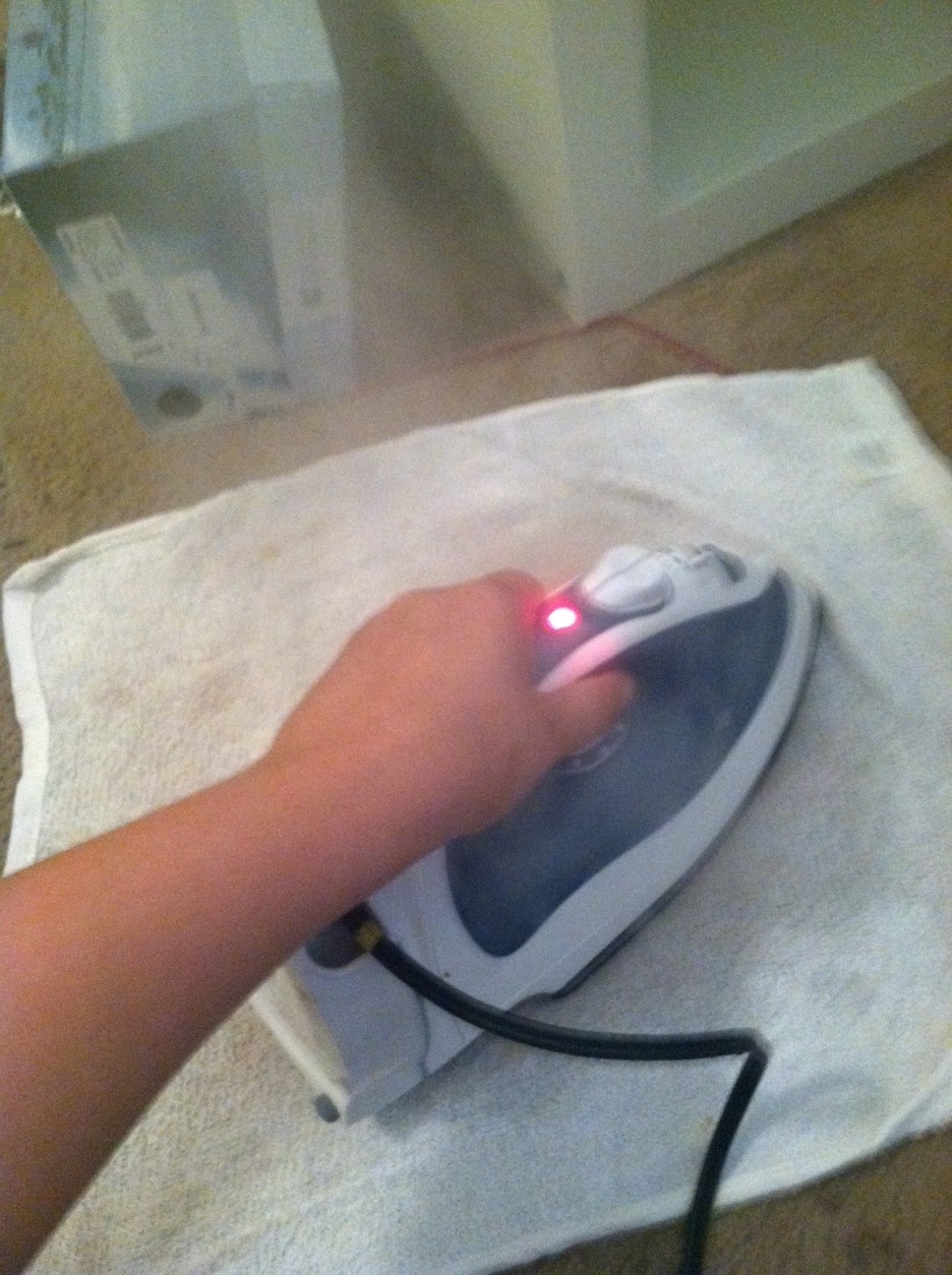 The Button Biter Carpet Cleaning Magic