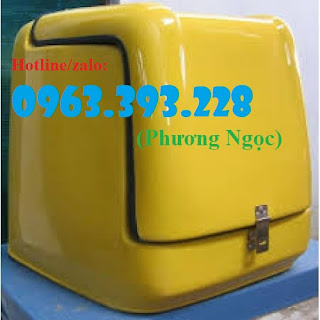 Thùng chở hàng sau xe máy loại nhỏ, thùng giao đồ ăn nhanh, thùng ship cơm Thung%2Bcho%2Bhang%2Bnho-500x500