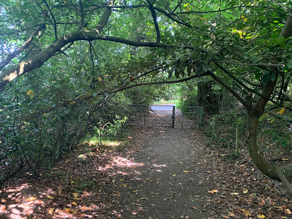 ©paint walk July 2020