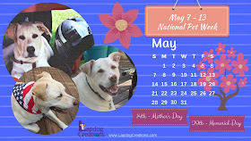 free printable desktop calendar rescue dogs pets