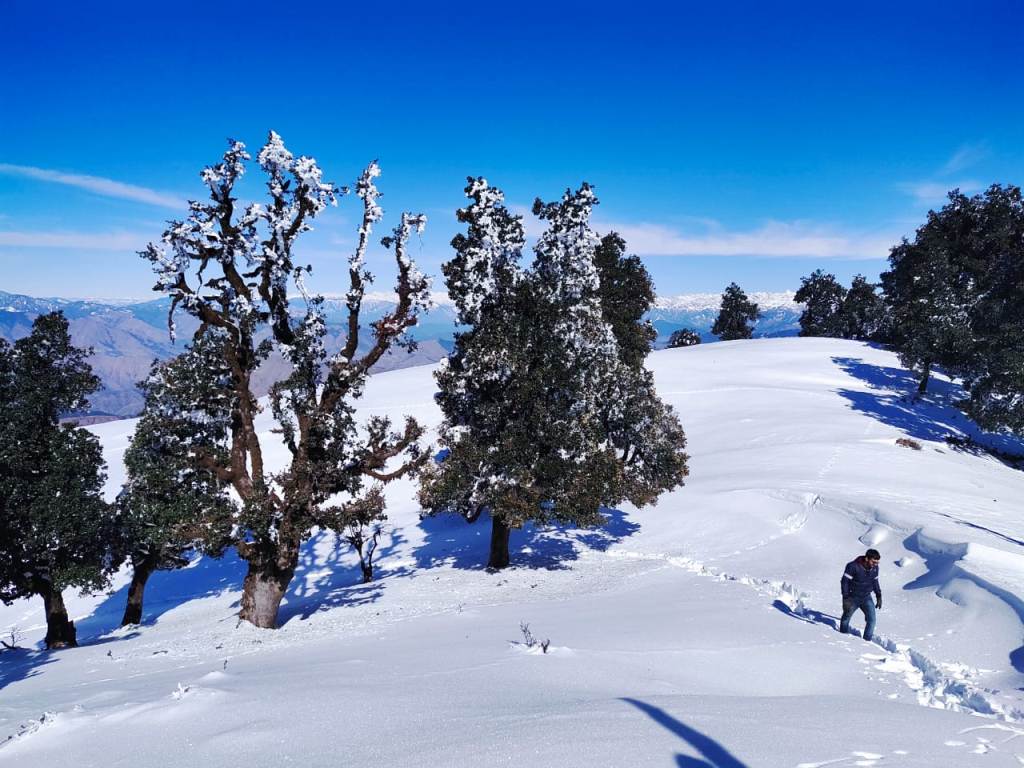 Nag Tibba -  The great & best snow trek